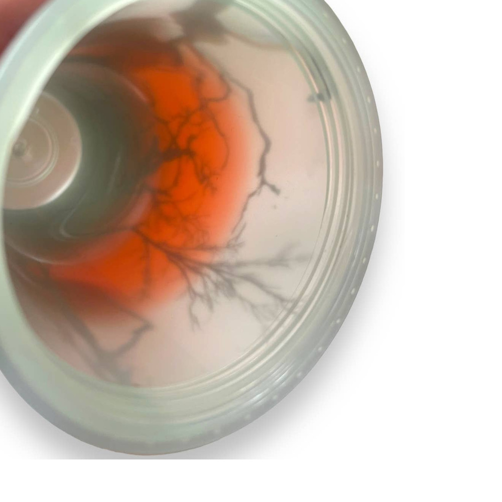 Starbucks RAVEN'S PERCH 2022 Halloween 16 oz Cold Cup *Glow in the Dark* - Picture 6 of 13